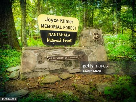 27 Joyce Kilmer Park Stock Photos, High-Res Pictures, and Images - Getty Images