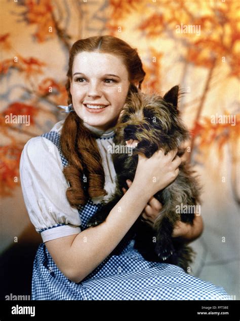 Mago De Oz De Njudy Garland Como Dorothy Con Su Perro Toto En