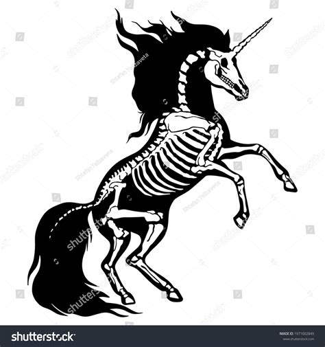 647 Cartoon Horse Skeleton Royalty-Free Photos and Stock Images | Shutterstock