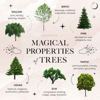 Magical Properties Of Trees Ideas Magical Herbal Magic Magickal