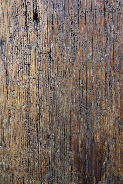 Woode texture rustic stock image. Image of design, nature - 258348865