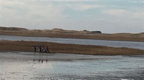 IFAW at pilot whale stranding in Wellfleet - CapeCod.com