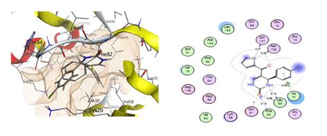 Medicinal Chemistry