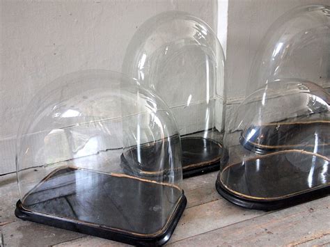 Unusualy Large Antique Display Domes Puckhaber Decorative Antiques