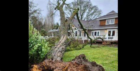 Roloff Farm Hit Hard By Storm – Oregon Family Farm Association