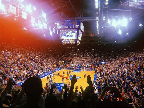 Beware of the PHOG | College life, University of kansas, Life