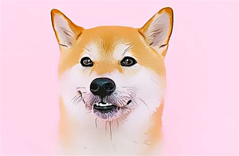 Mampukah Shiba Inu Shib Jadi Us Pada Tahun