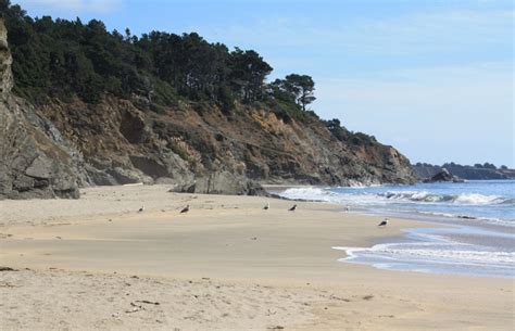 Fish Rock Beach At Anchor Bay Campground Gualala Ca California Beaches