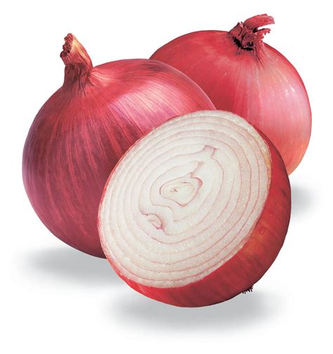 Onion Wallpapers - Top Free Onion Backgrounds - WallpaperAccess