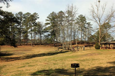 Picnic Area and landscape at High Falls State Park, Georgia image ...