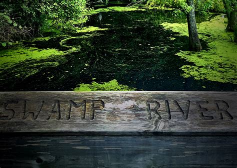 Hiking the Appalachian Trail in Dutchess County, New York | Friends of the Great Swamp