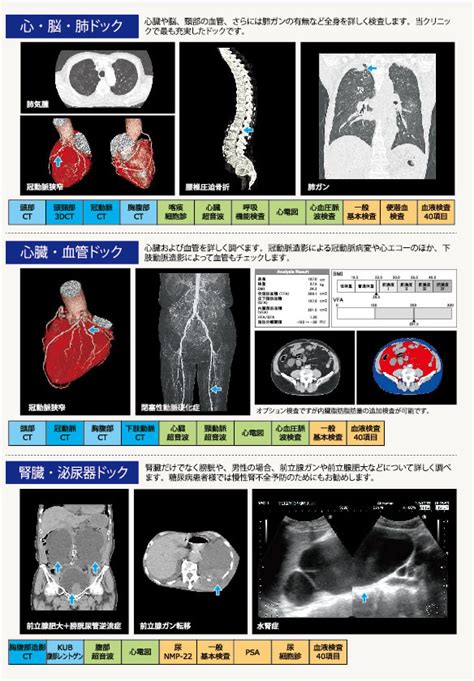 病院案内パンフレット 下田循環器・腎臓クリニック 循環器内科、腎臓内科、人工透析内科、泌尿器科、内科