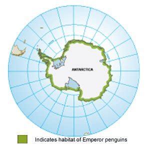 Emperor Penguins Habitat Map