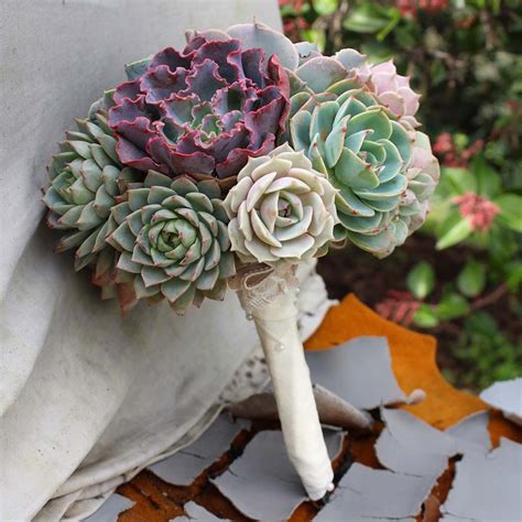 Succulent Bouquets – nVi Garden