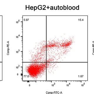 Flow Cytometry Analysis Apoptosis Of Hepg Cells In Different Groups