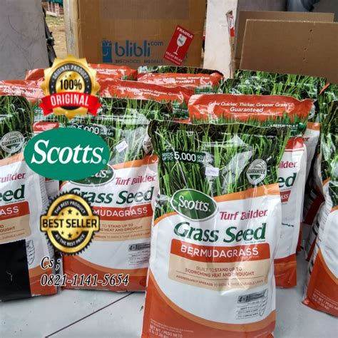 Jual Biji Rumput Bermuda Grass Seed Scott Builder Pusat Benih Rumput