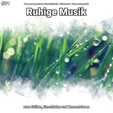 01 Ruhige Musik Zum Chillen Einschlafen Und Konzentrieren Album By