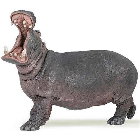 Hipopótamo De Brinquedo - HIPOPÓTAMO PAPO RÉPLICA DE MAMÍFERO BRINQUEDO DE ANIMAL SELVAGEM ...
