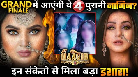 These 4 Old Naagin To Return In Grand Finale Of Naagin 6 Youtube