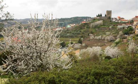 Lamego Photos Portugal Travel Guide