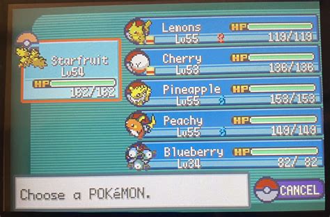 Beat my first monotype run! : r/PokemonHallOfFame