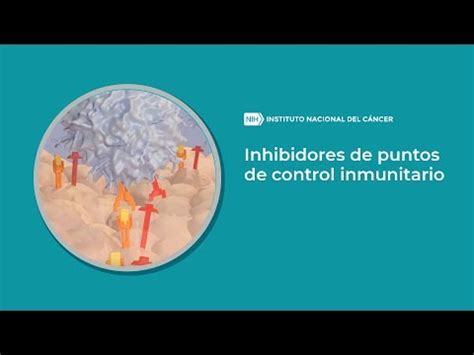 Inhibidores De Puntos De Control Inmunitario