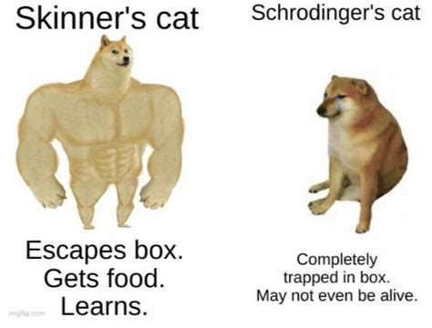 Meme I made for psychology class : r/sciencememes