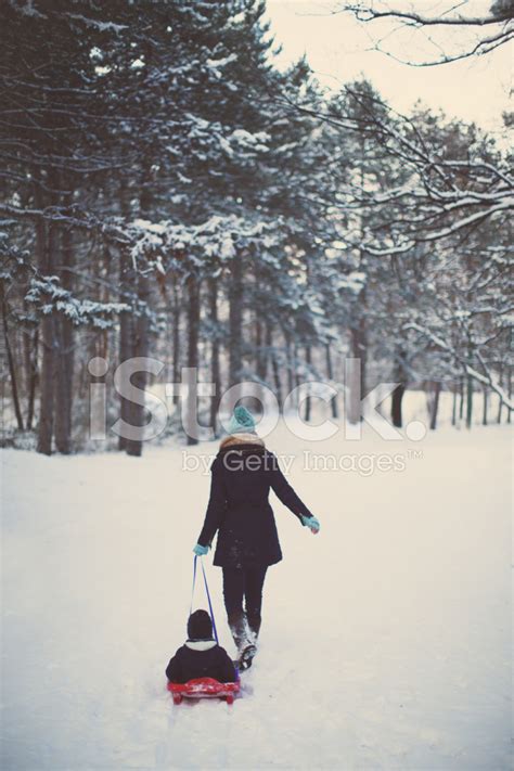 Sledding On The Snow Stock Photo | Royalty-Free | FreeImages