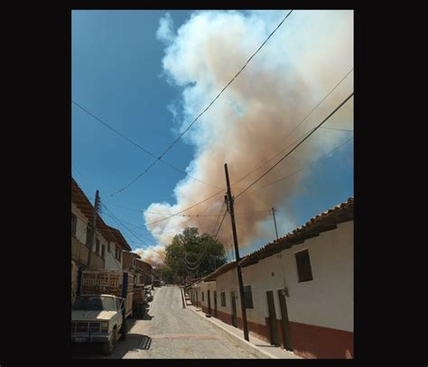 La Jornada Fallece Brigadista Durante Combate En Incendio Forestal En