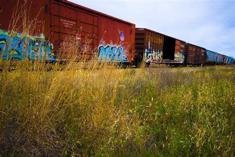 Train Cars with Colorful Graffiti Editorial Stock Image - Image of ...