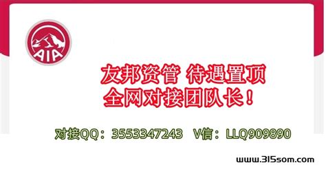 首码项目网 网上创业赚钱首码项目免费推广发布平台 315首码项目网