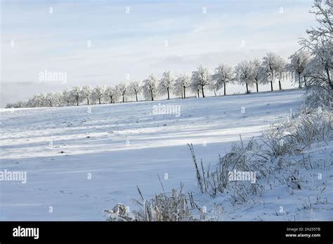 Country road with snowy trees Stock Photo - Alamy