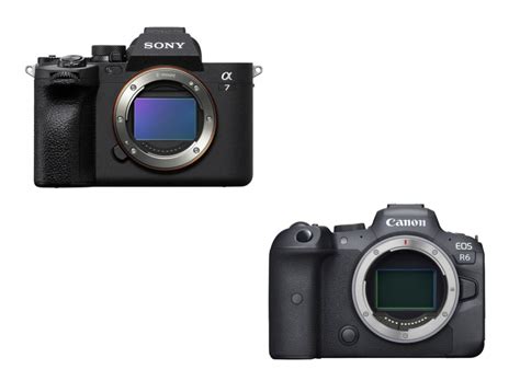 Sony A7 IV vs Canon EOS R6 – The 10 main differences - GearOpen.com