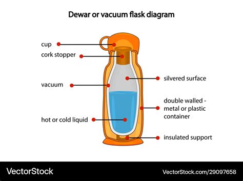 Dewar or vacuum flask fully diagram Royalty Free Vector