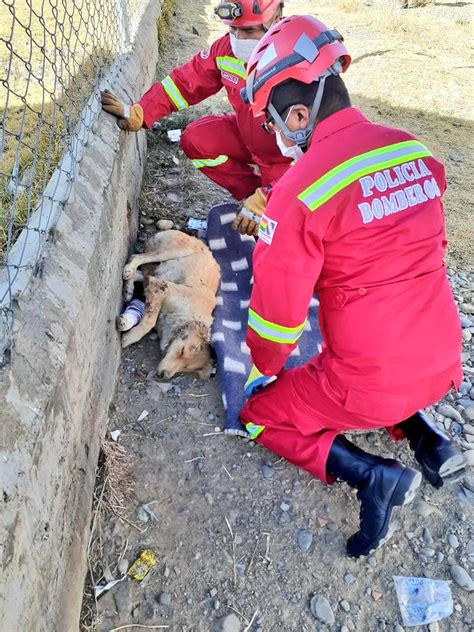 Policia Boliviana On Twitter Elalto Vecinos De La Zona Franz Tamayo