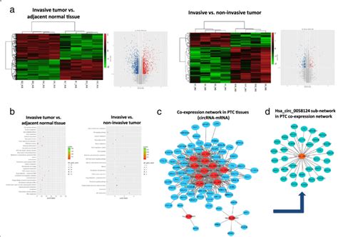 The Mrna Profiling And Coexpression Network Of Circrna Mrna