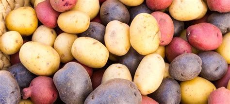 All Types Of Tubers A Guide To Potato Types Live Naturally Magazine