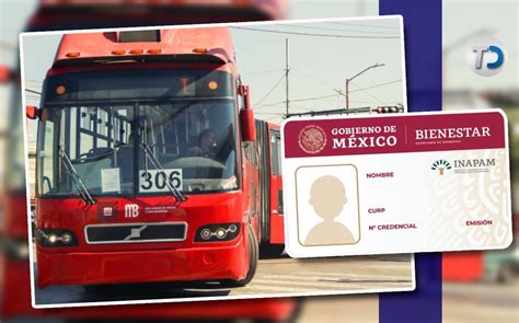 Qué transportes son gratis con tarjeta del INAPAM en CdMx Telediario