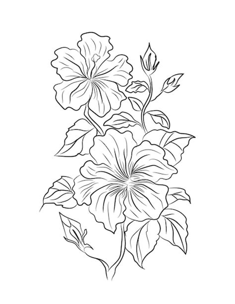 Premium Vector Floral Coloring Page Floral Line Art Illustration