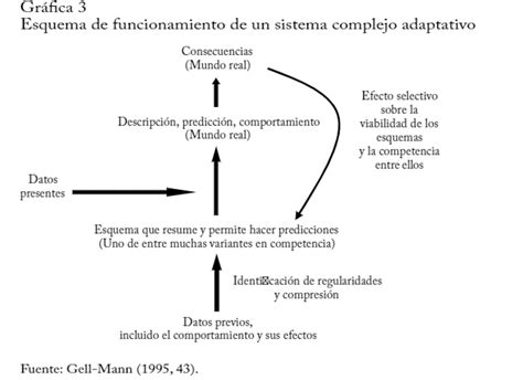 Gráfica 3 Esquema De Funcionamiento De Un Sistema Complejo Download Scientific Diagram