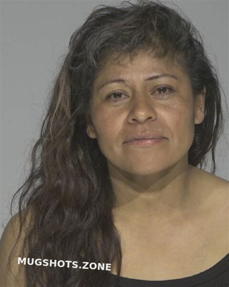 Lujan Sonya Linda Chaves County Mugshots Zone