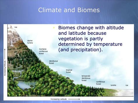 PPT - Biomes and The Biosphere PowerPoint Presentation, free download ...