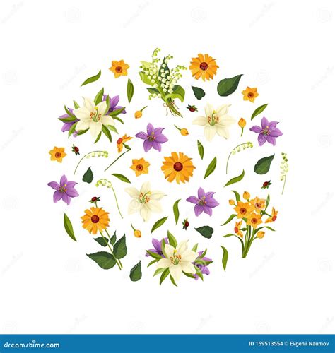 Beautiful Flowers Of Round Shape Decorative Floral Design Element