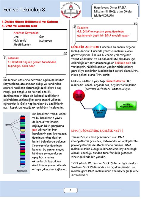 Dna Ve Genetik Kod Konu Zeti