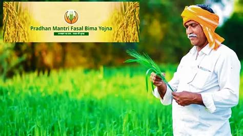 Pmfby Farmers Got Billions Of Help Prime Minister S Crop Insurance