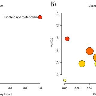 The Pathway Enrichment Analysis Of Differential Metabolites Metabolic