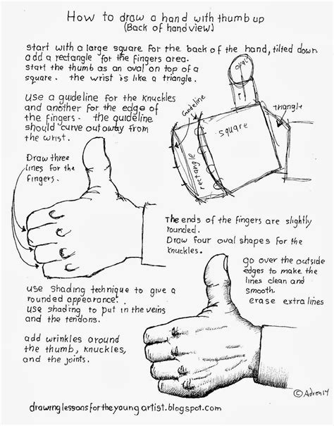 How To Draw A Hand Thumbs Up Back View Free Worksheet Drawing