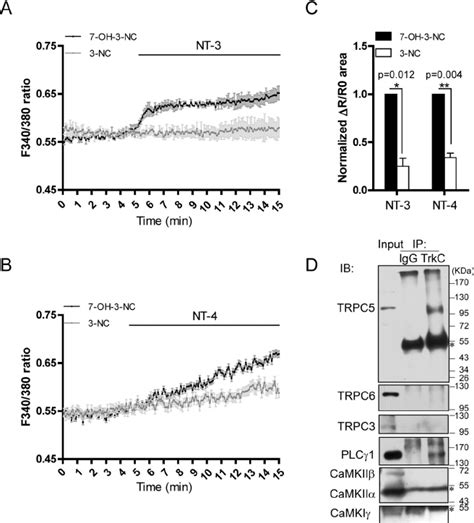 NT 3 activated TRPC5 through PLC Fura 2 AM imaging showed Ca 2 ϩ