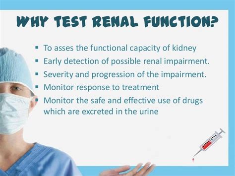 Renal Function Test