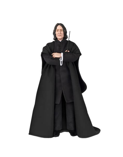 Figurine De Collection Bradford Exchange Harry Potter Professeur